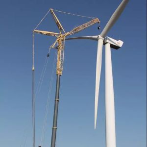 ��������������r(sh��)���ؙC(j��)�а���Dufour�����˵�100�_LTM 1750-9.1